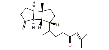Lobophytumin E